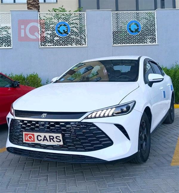 بي واي دي Qin Plus 2025 للبيع في العراق - الحلة